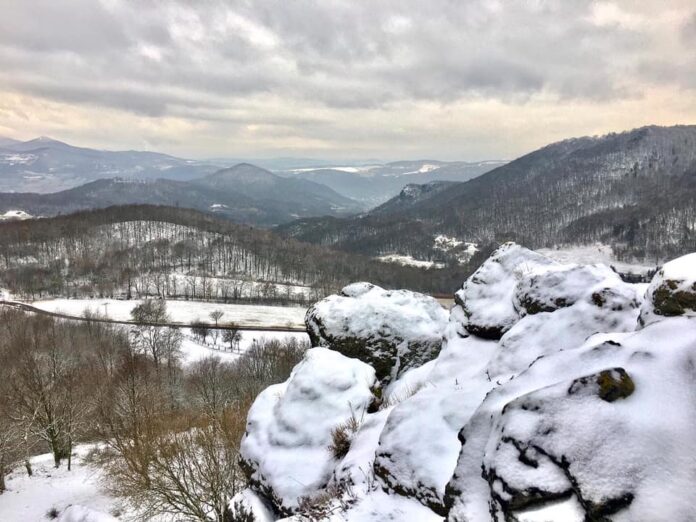 272272390_323045533163327_7254507790540923285_n