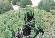 Zámecký park v Libochovicích poškodili vandalové