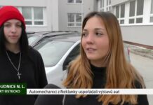 ROUDNICE N. L.: Automechanici z Neklanky uspořádali výstavu aut