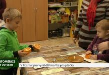 LITOMĚŘICE: V Rozmarýnu vyráběli krmítka pro ptáčky