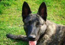 Ze střeženého pracoviště dnes uprchl vězeň