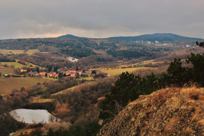 273563981_335064085294805_6884324750856101878_n