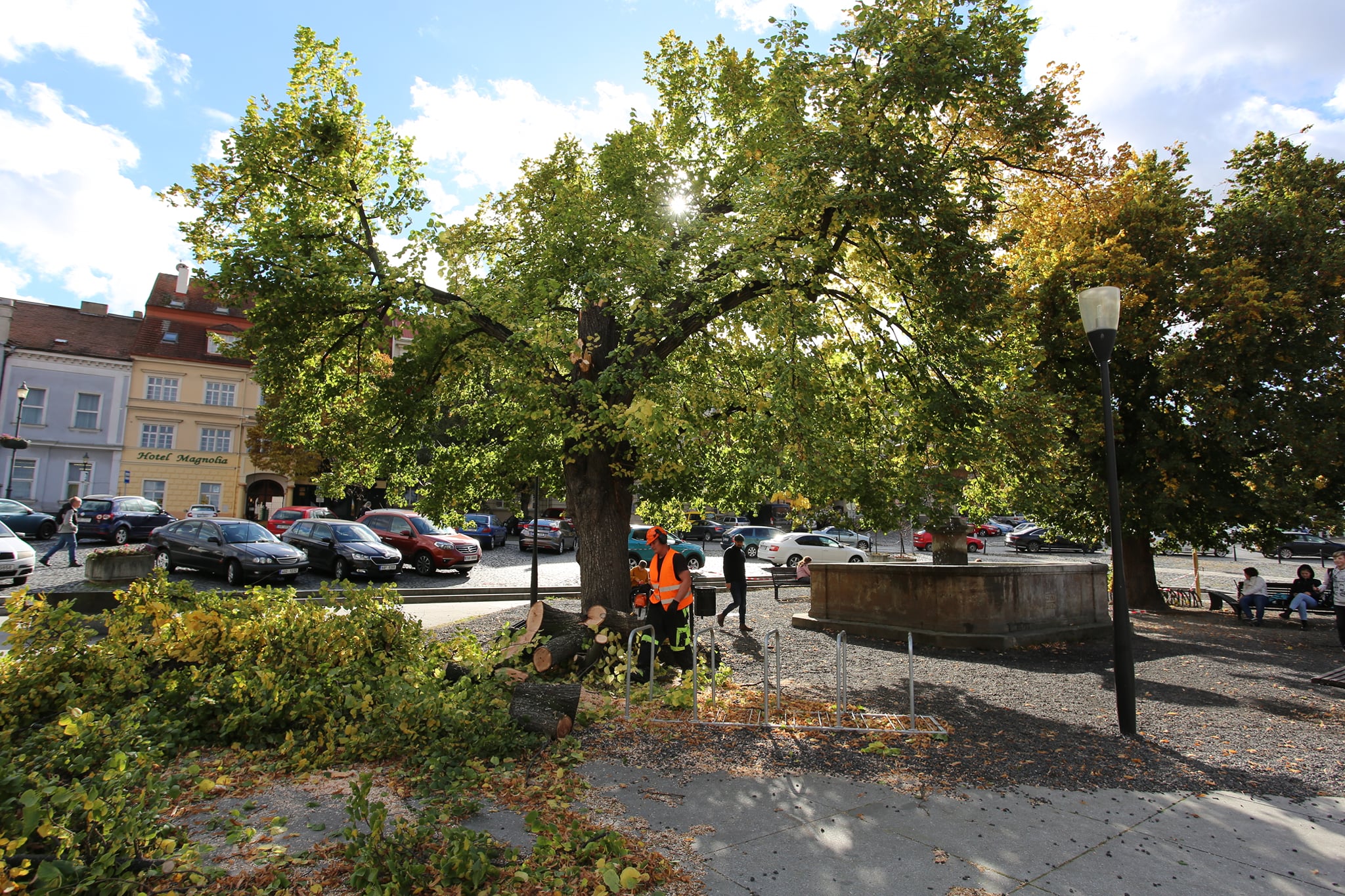 Pokácenou lípu v centru Roudnice nahradí nový strom