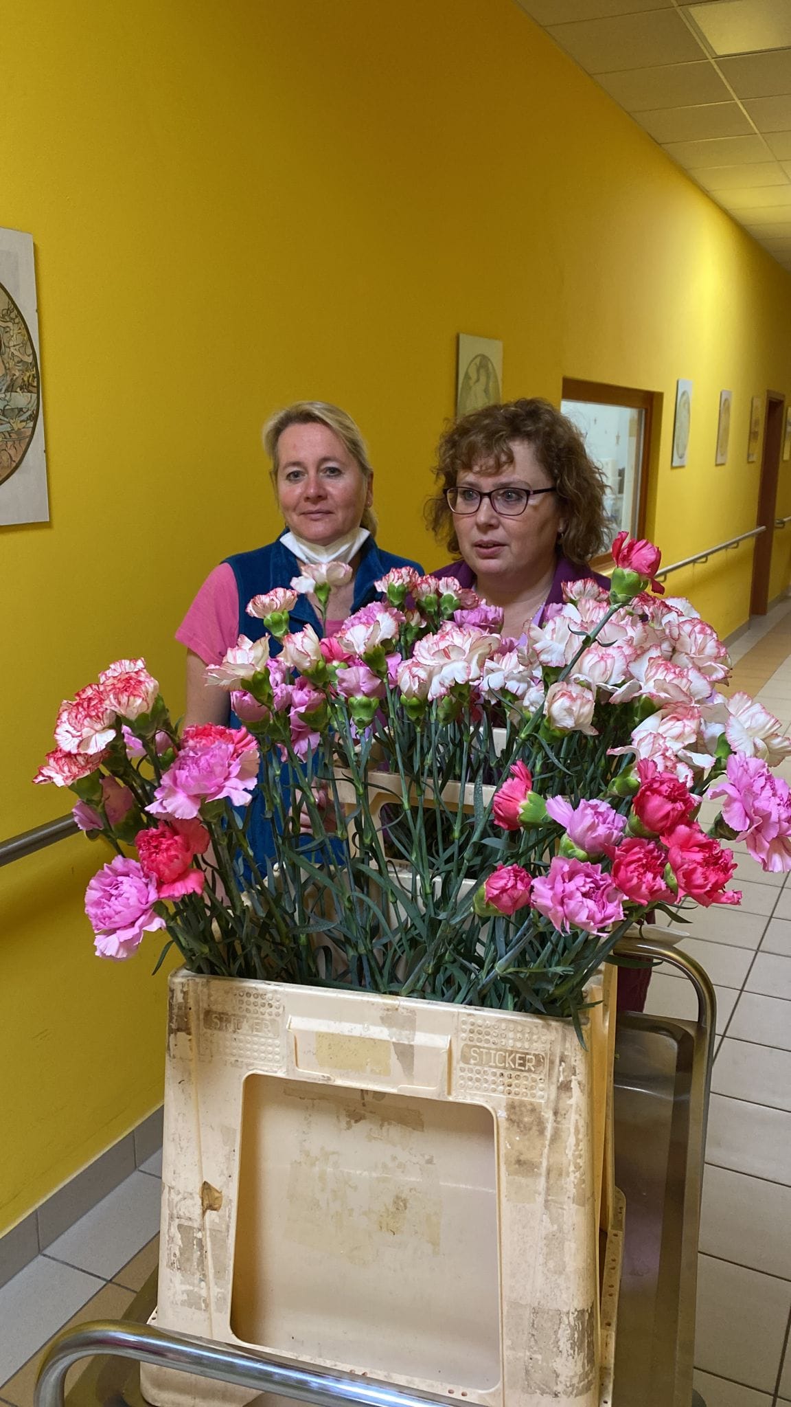 Charita Litoměřice dnes rozdávala seniorkám karafiáty