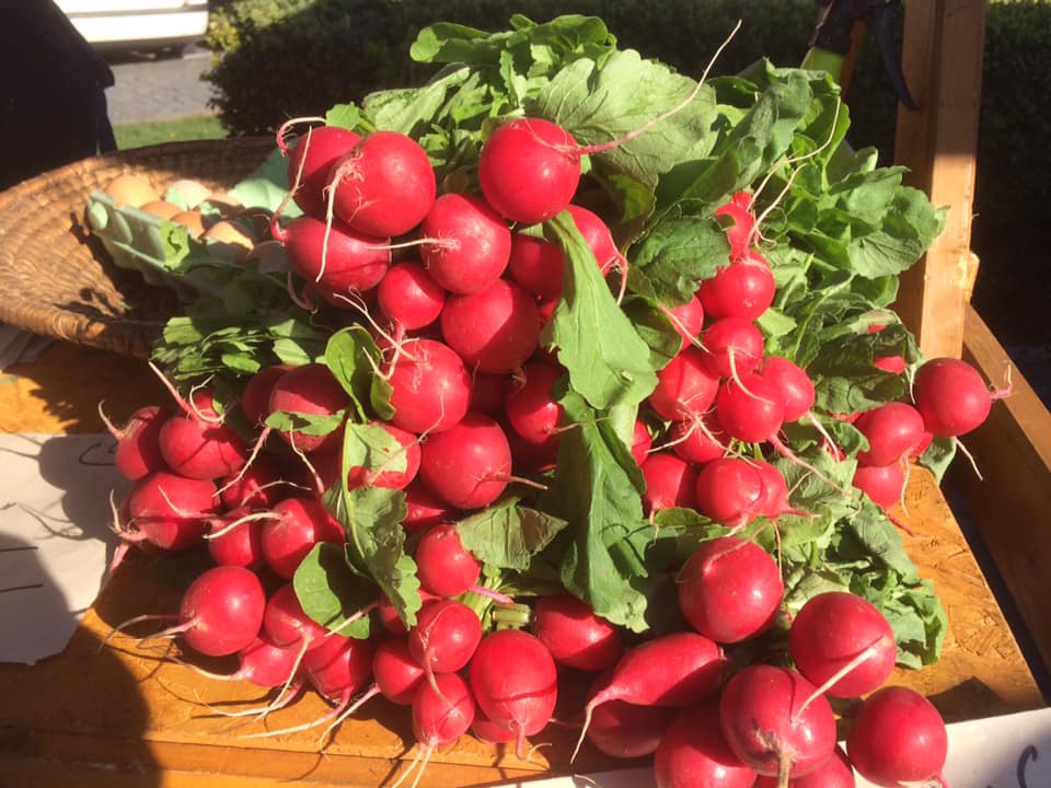 Začínají Roudnické farmářské trhy