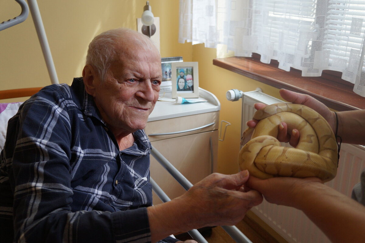 Domov pro seniory na Dómském pahorku zaplnili hadi
