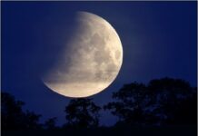 Viděli jsme „květinový“ úplněk s částečným zatměním