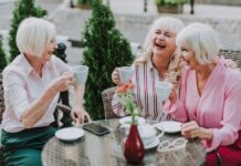 SENIOR FEST na Zahradě Čech tuto neděli