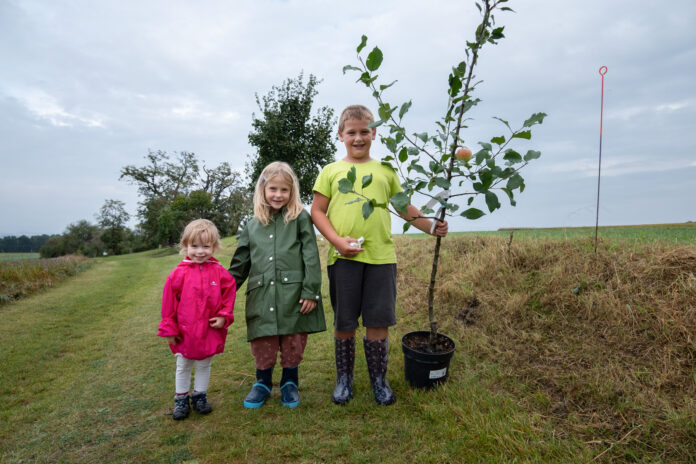 Výsadba ovocných stromů v pohádkové aleji v části obce Hrobce Rohatce_2021.