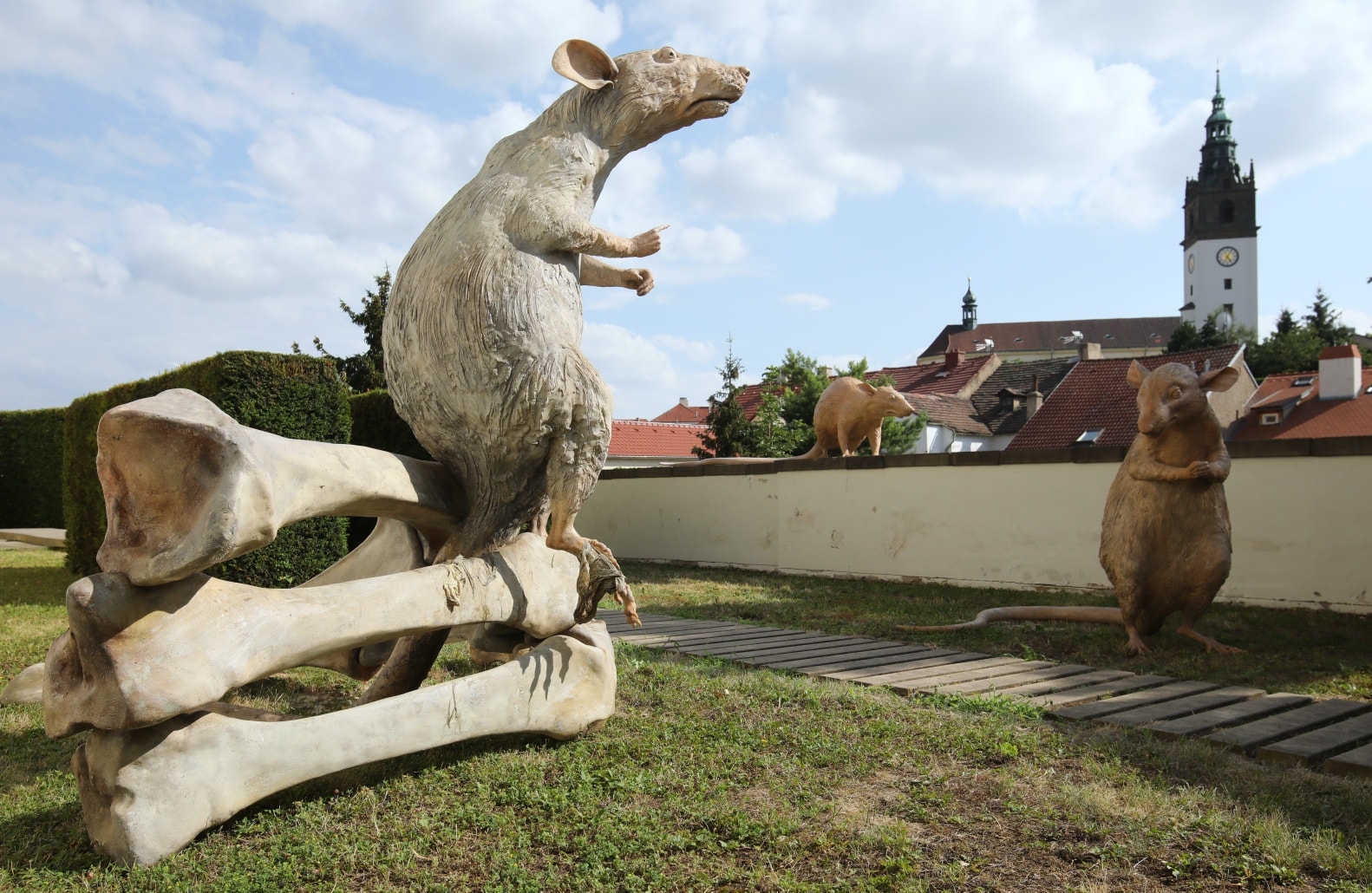 V Litoměřicích se usídlili obří hlodavci