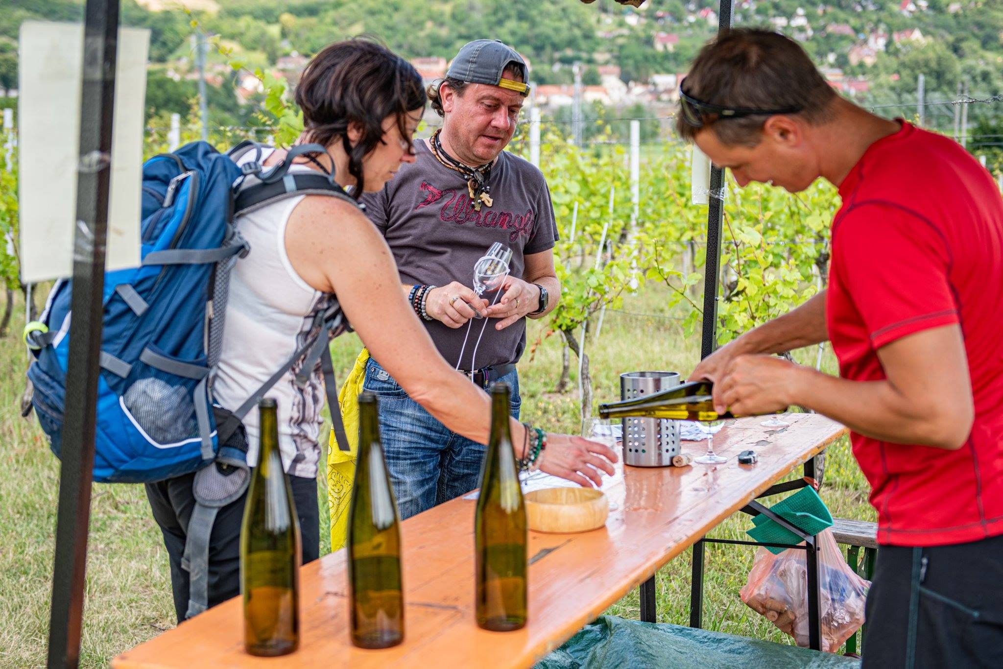 Kam o víkendu na Litoměřicku