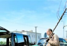 Nová zeleň poskytne stín bytovkám zaměstnanců psychiatrické nemocnice