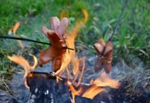 V Křešicích opět pořádají Stezku odvahy pro rodiče s dětmi