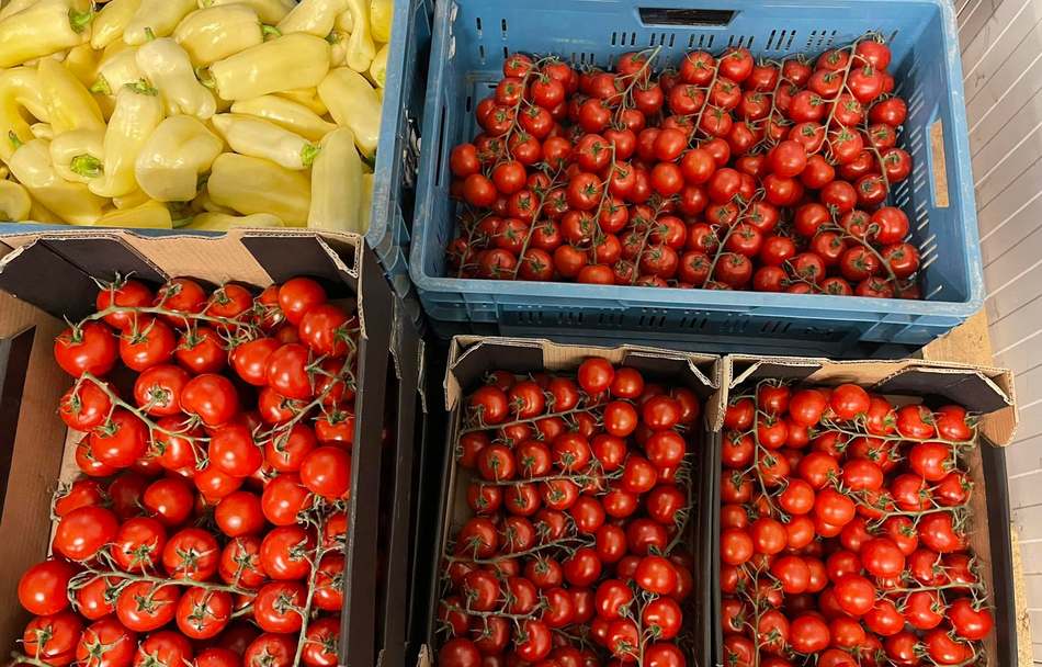 VOLNÁ MÍSTA: Velkoobchod ovoce a zeleniny Lotinar České Kopisty přijme řidiče/ skladníka
