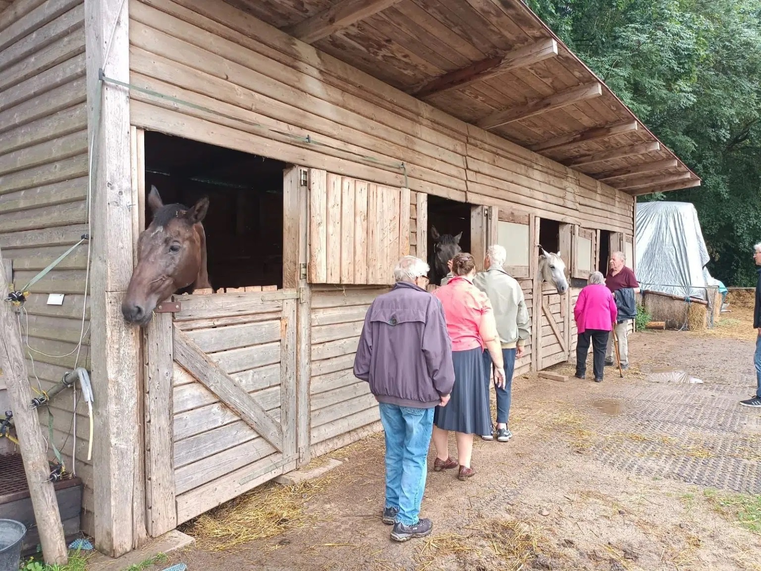 SeneCura Terezín navštívila s klienty Dětskou farmu U Toníka