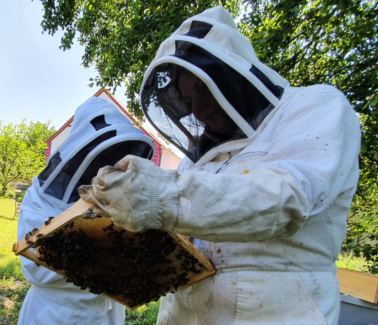 Na Den otevřených dveří zve i včelí farma AnnKas