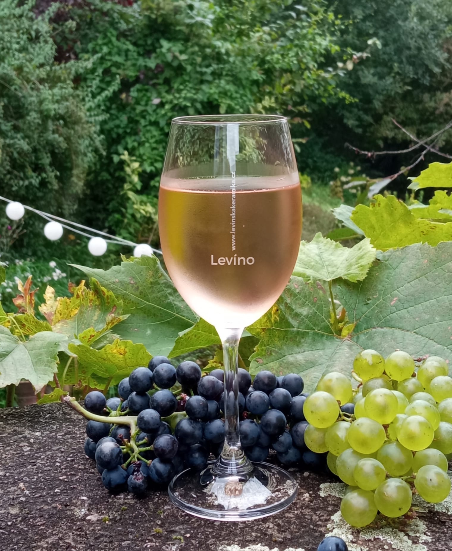 Centrem Levína bude tuto sobotu znít hudba a téct víno