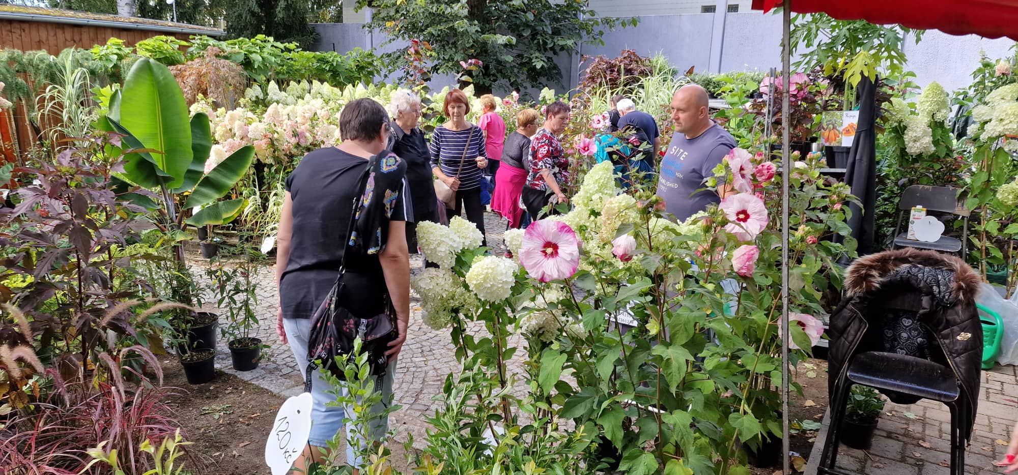 FOTOGALERIE: 46. Zahrada Čech zahájena