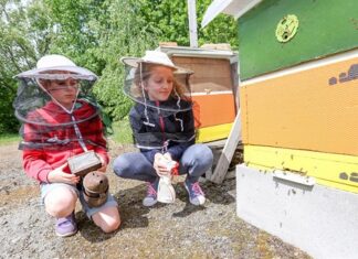 V Rozmarýnu mají stále místo pro mladé včelaře a včelařky!