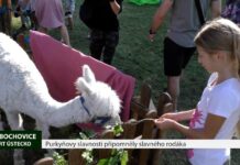 LIBOCHOVICE: Purkyňovy slavnosti připomněly slavného rodáka