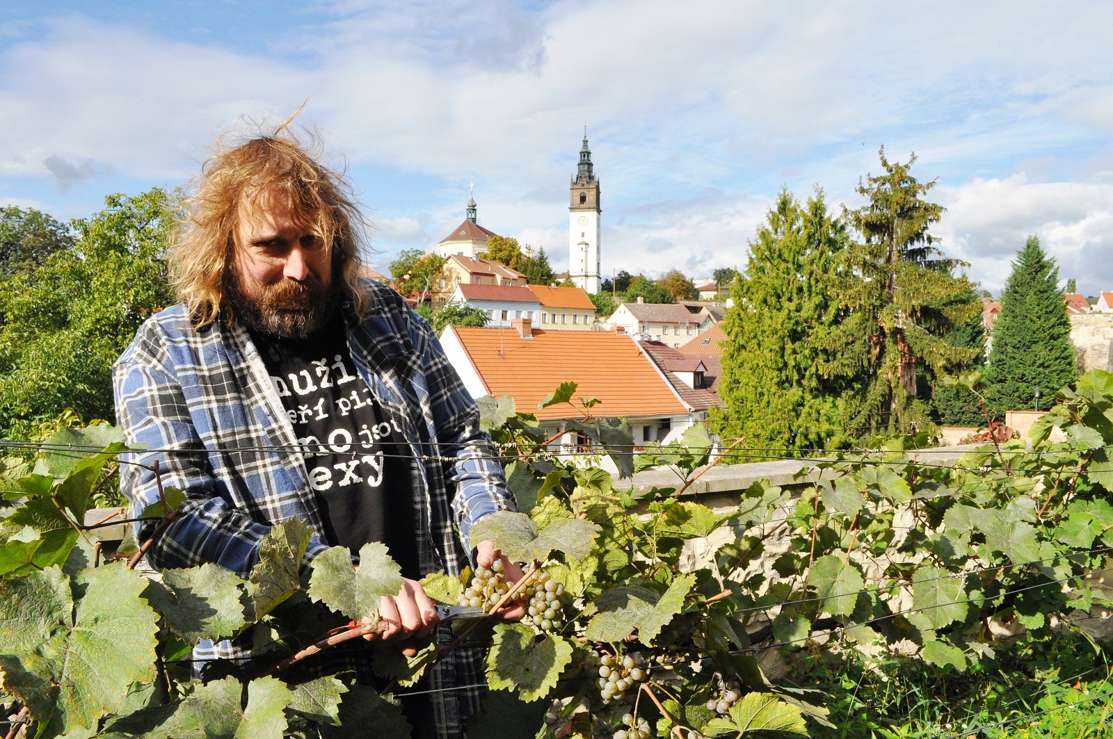 Vinice na parkánech v Litoměřicích vydaly úrodu