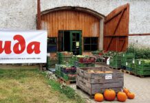 Dýňování v Ploskovicích nabídne zábavu i zdravou svačinu