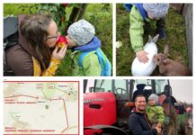 Tuto sobotu opět samosběr jablek v sadu u Ploskovic