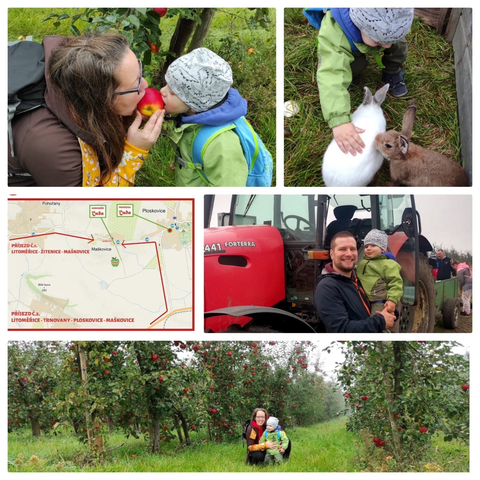 Tuto sobotu opět samosběr jablek v sadu u Ploskovic