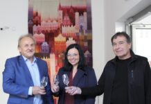 V hradu visí třímetrová tapisérie Litoměřic