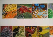 V roudnické galerii začíná výstava malířů z Akademie třetího věku