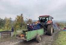 Poslední říjnový samosběr jablek už tuto sobotu!