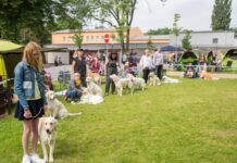 Zahrada Čech bude v sobotu hostit Krajskou výstavu psů