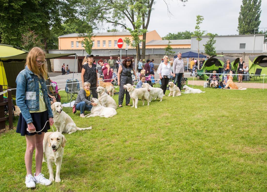 Zahrada Čech bude v sobotu hostit Krajskou výstavu psů