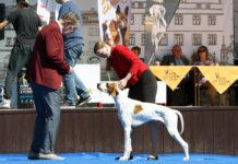 Kam o víkendu na Litoměřicku