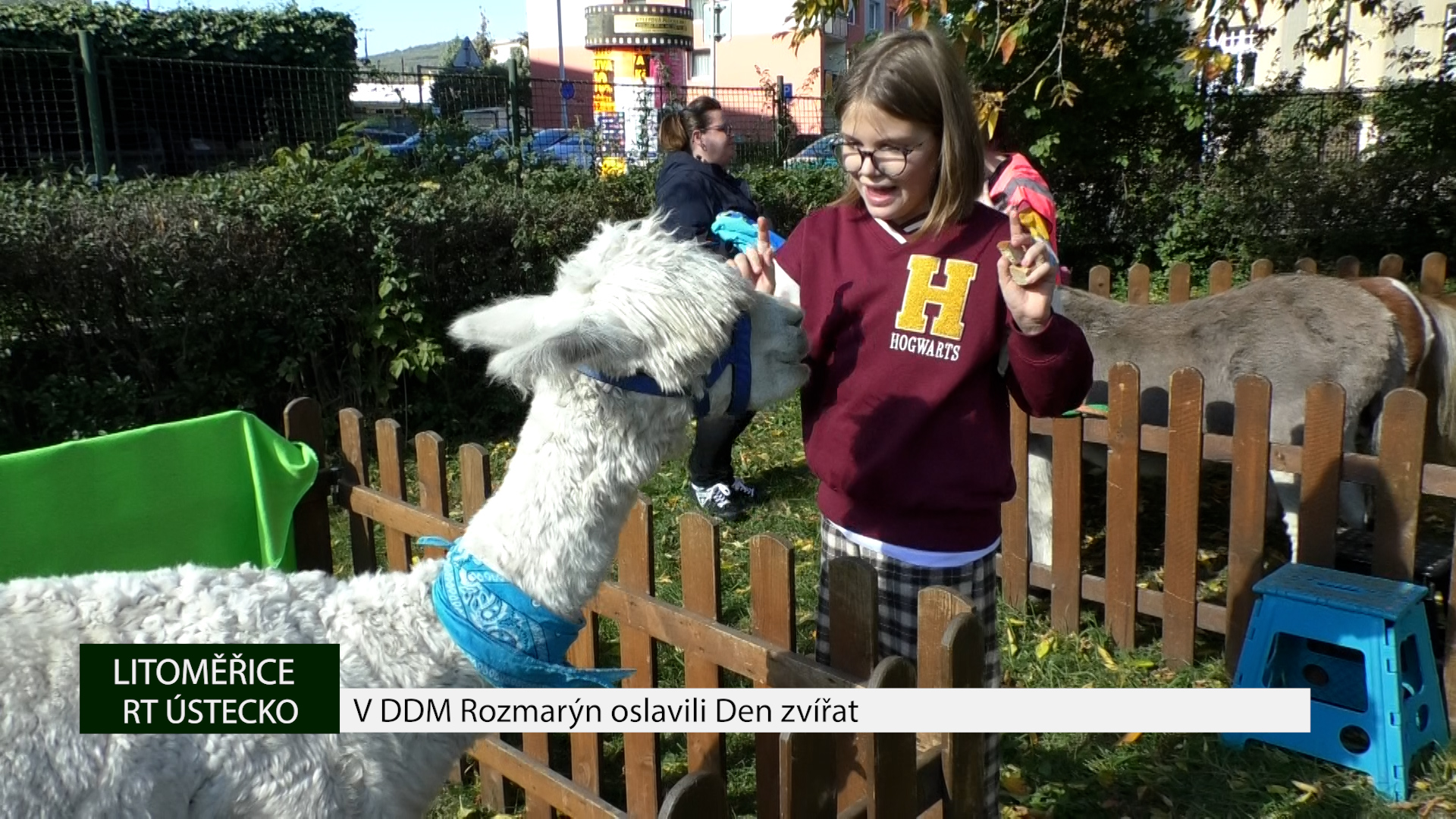 LITOMĚŘICE: V DDM Rozmarýn oslavili Den zvířat