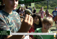 HLINNÁ: Slavnosti pastvin letos s delší procházkou a záchranou sarančete