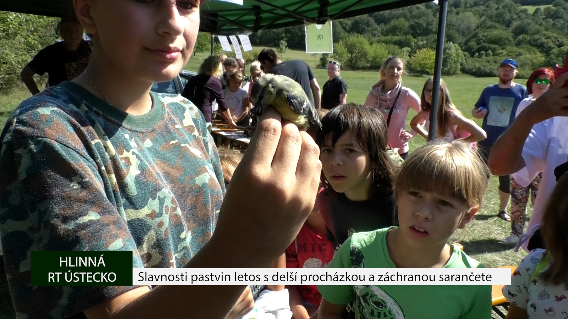 HLINNÁ: Slavnosti pastvin letos s delší procházkou a záchranou sarančete