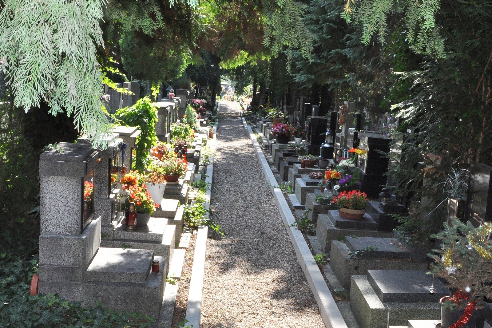 Kamery a vysoké pokuty mají odradit zloděje od krádeží na hřbitově