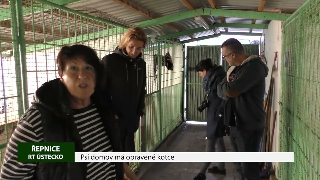 ŘEPNICE: Psí domov má opravené kotce