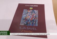 LOVOSICE: V LOVO Galerii probíhá prodejní výstava obrazů Ilji Šavela