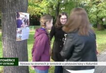 LITOMĚŘICE: Výstava na stromech je tentokrát o pěstování kávy v Kolumbii