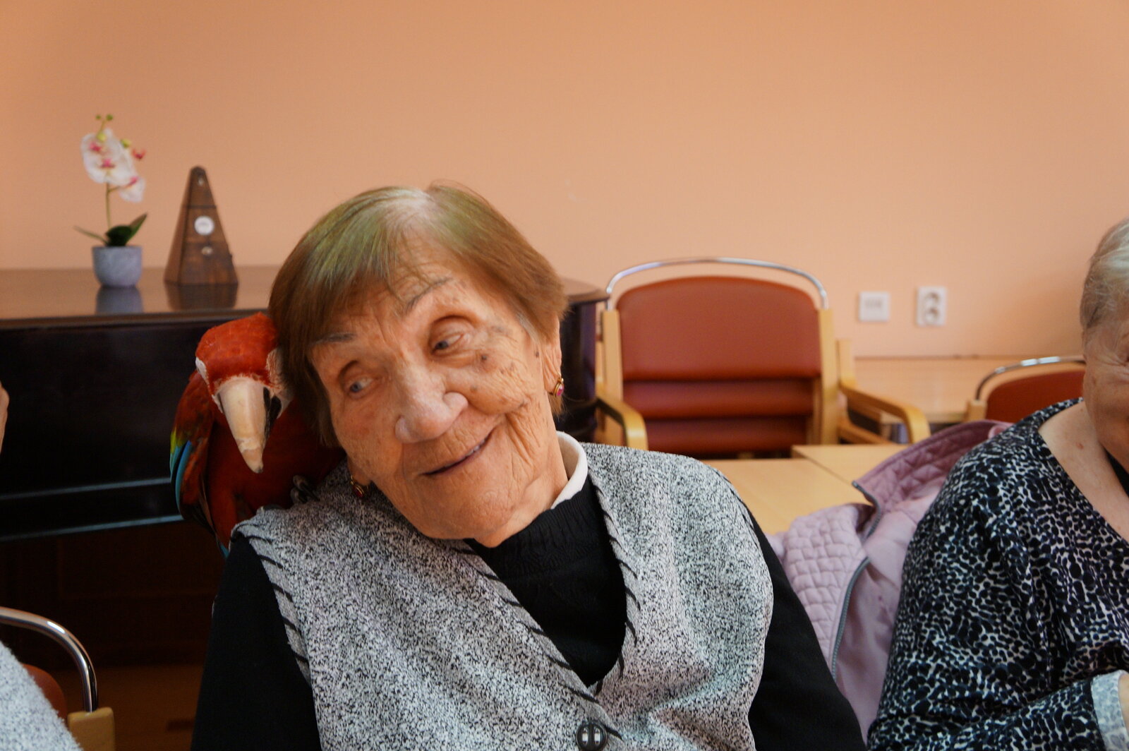 Do Domova seniorů na Dómském pahorku přiletěli papoušci