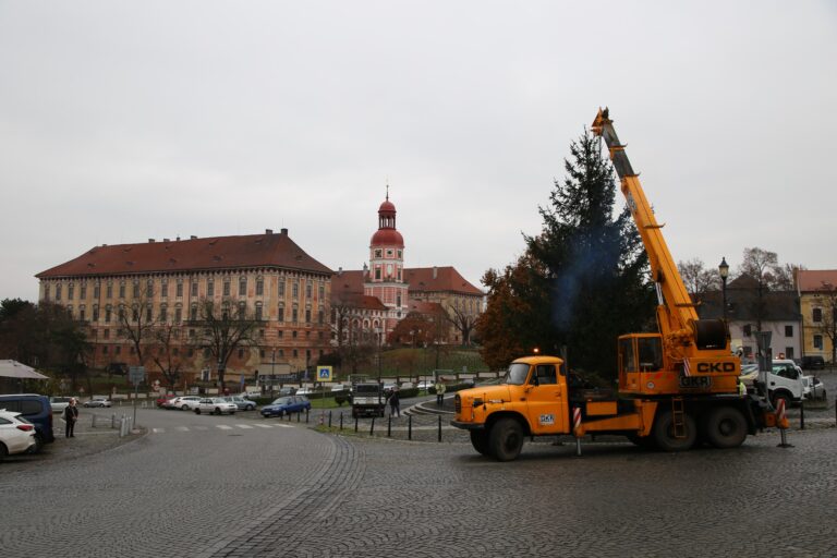 Roudnický vánoční strom je na místě, rozsvítí se v neděli