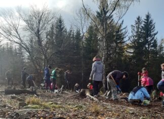 Gymnazisti z Litoměřic pomohli lesu