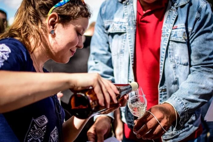 Kam o víkendu na Litoměřicku