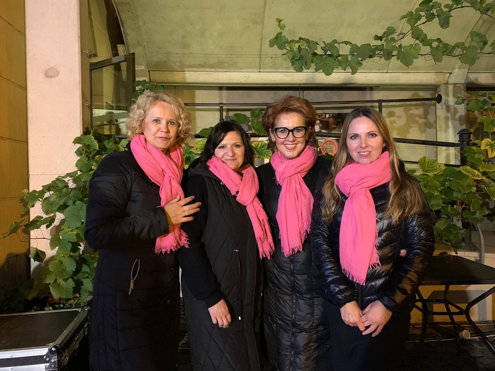 V Třebenicích budou v pátek vystupovat 4TETY a jejich hosté