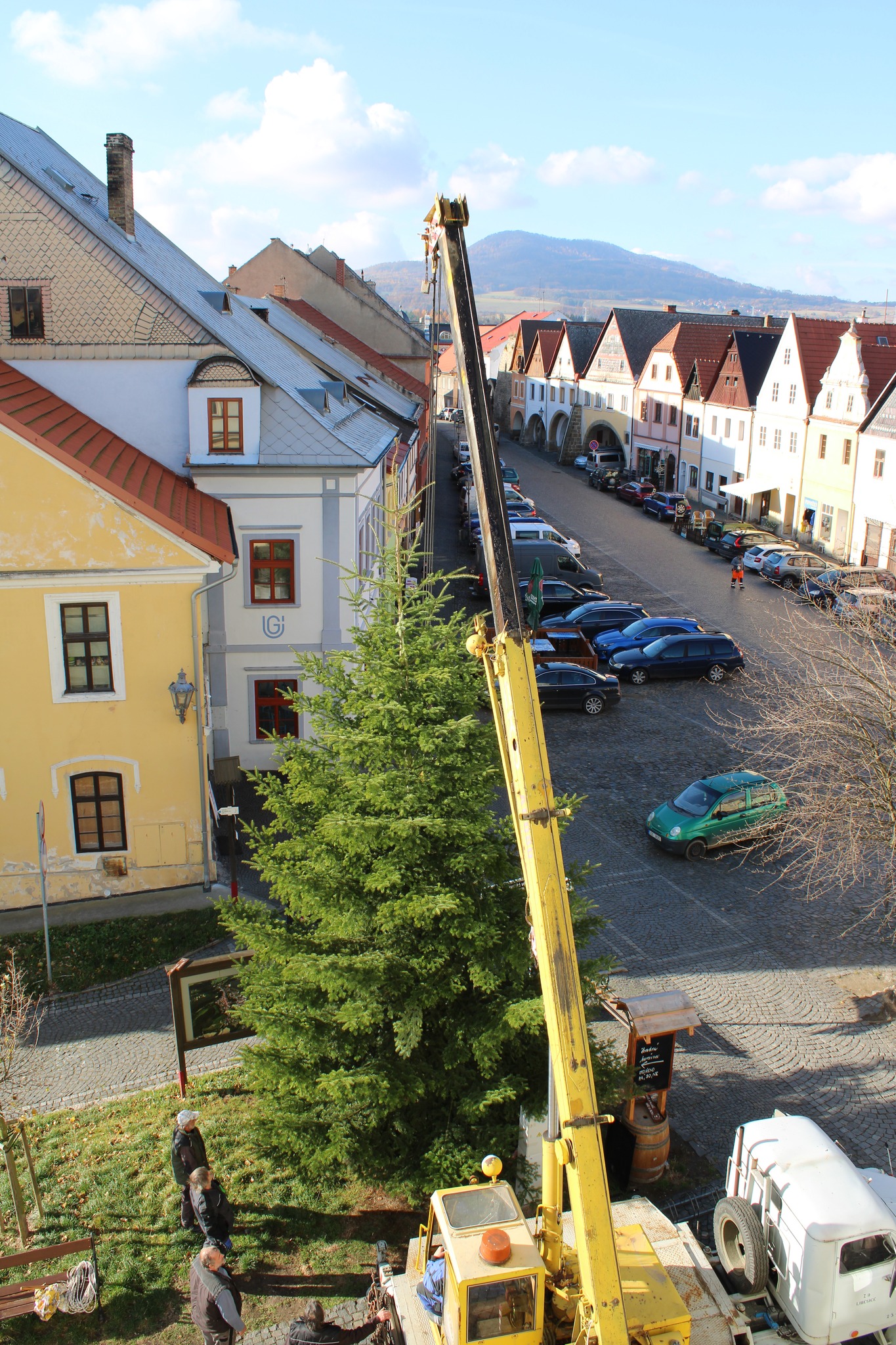 Úštěk hledá vánoční strom!