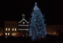 Vánoční strom se v Litoměřicích rozsvítí 27. listopadu