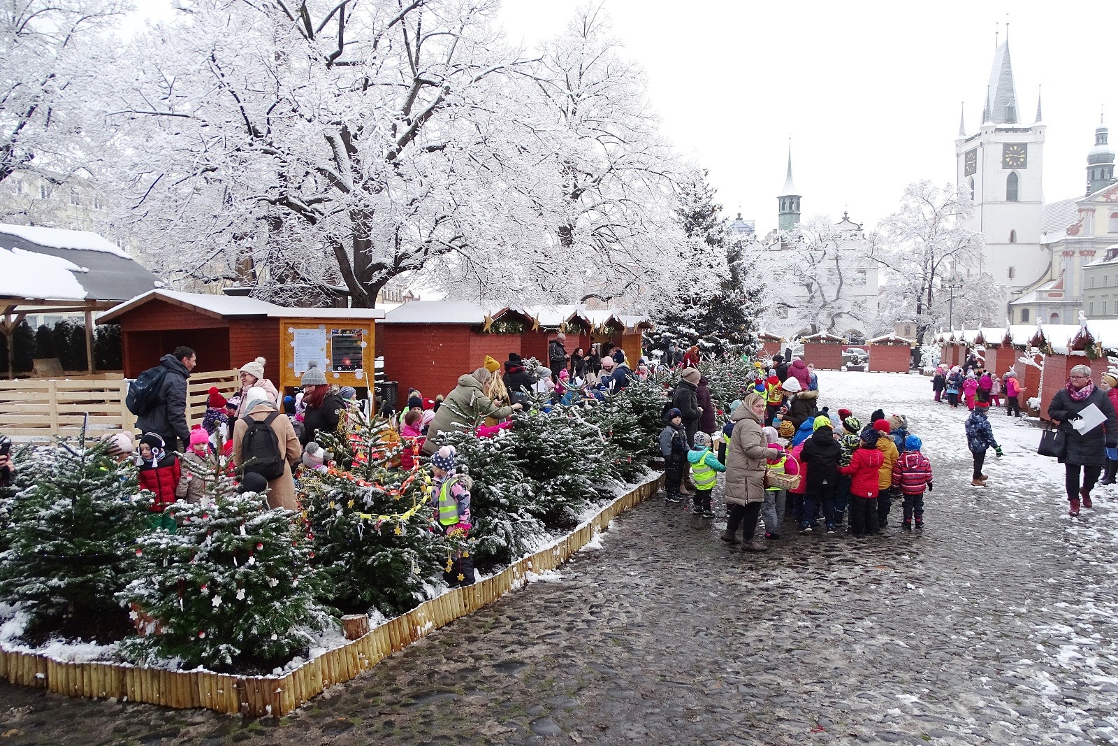 Užijte si zlaté Vánoce s MKZ Litoměřice!
