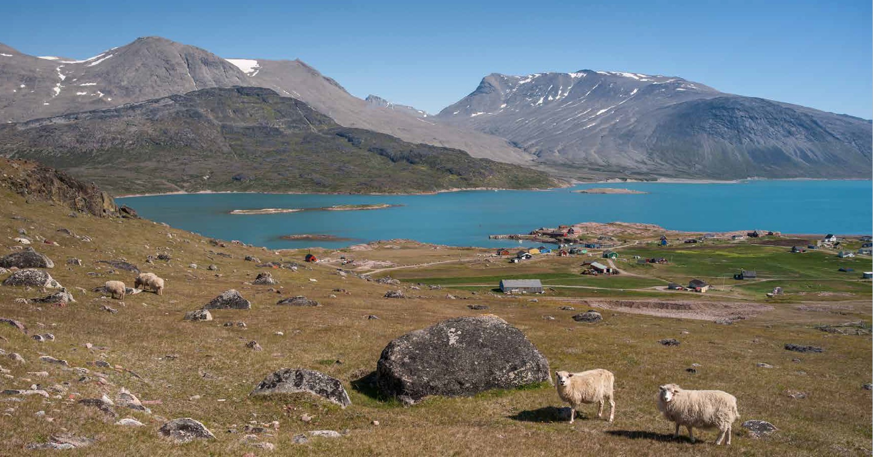 Přijďte na komentovanou prohlídku výstavy „Hledání ztracené divočiny“